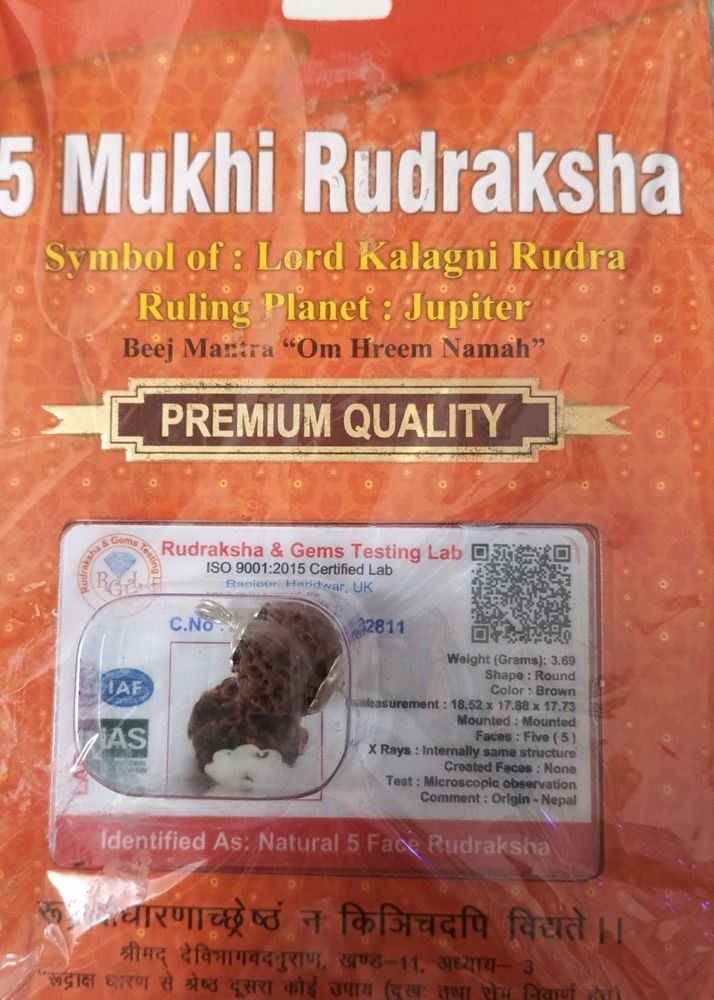 5 Mukhi Rudraksha Pendant