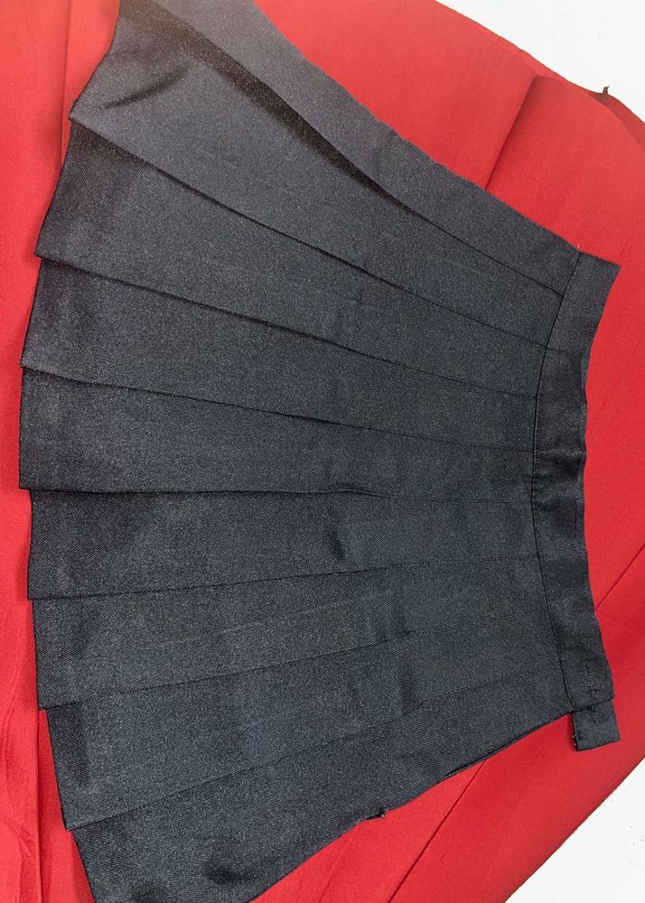 Pleated Skirt