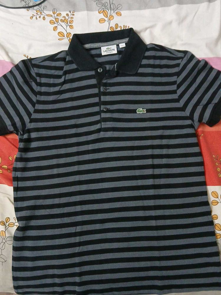 Striped Lacoste Polo Shirt