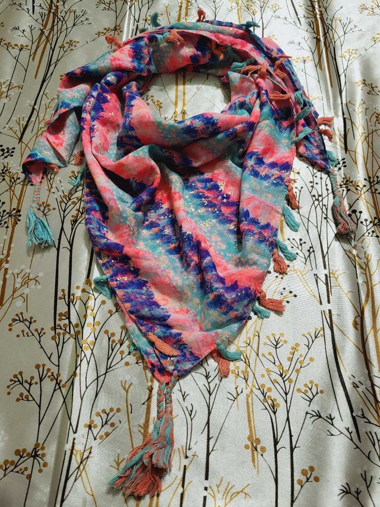 Aesthetic Stole For Women 🌈