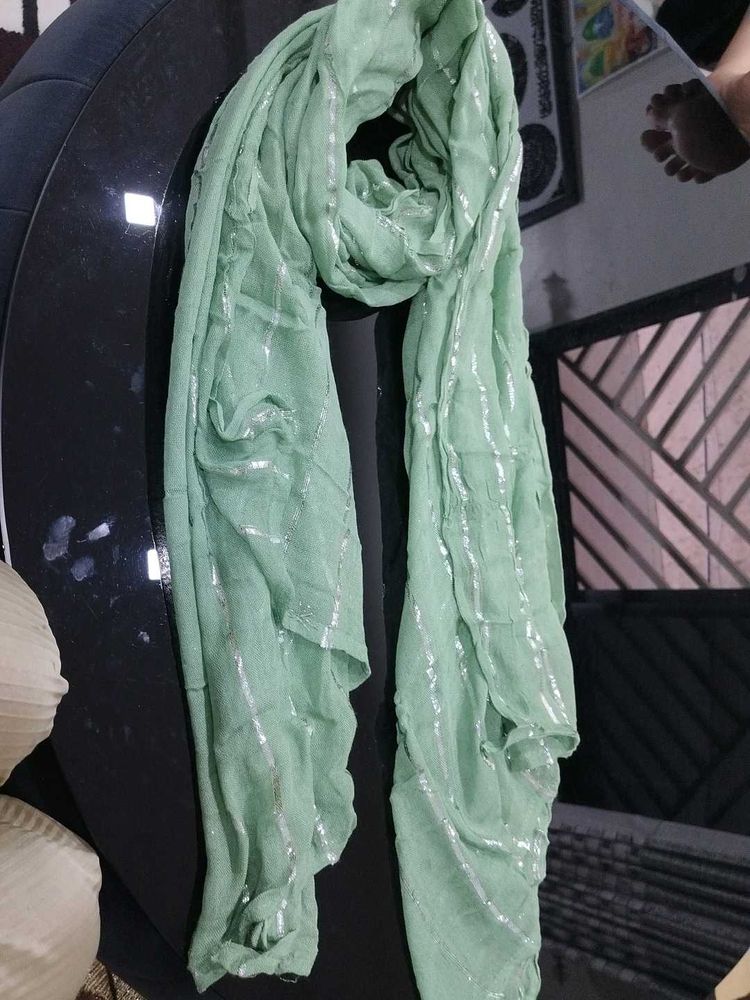 Elegant Mint Green Dupatta with Silver Stripes