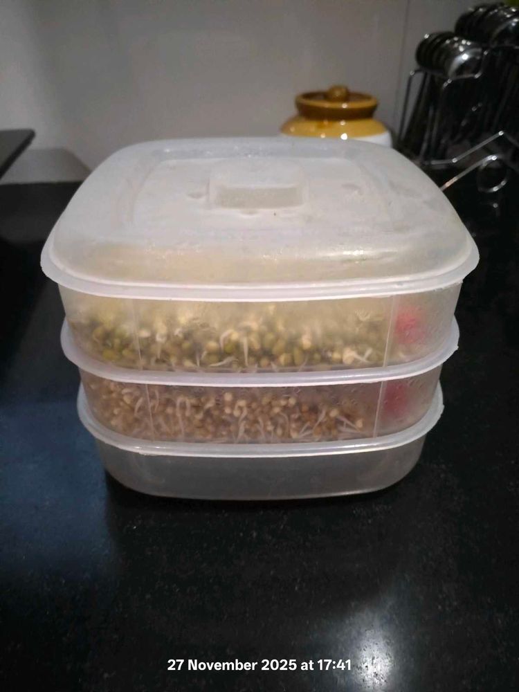 Sprout Maker