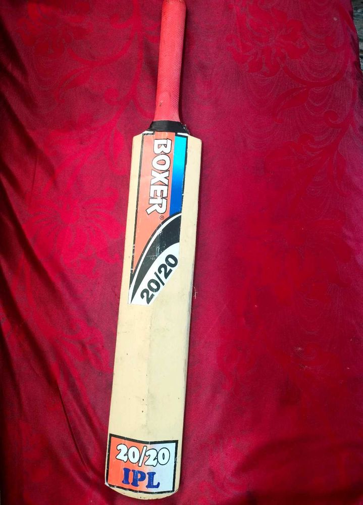 Kids cricket bat