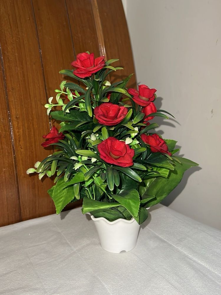 Rose plant decor