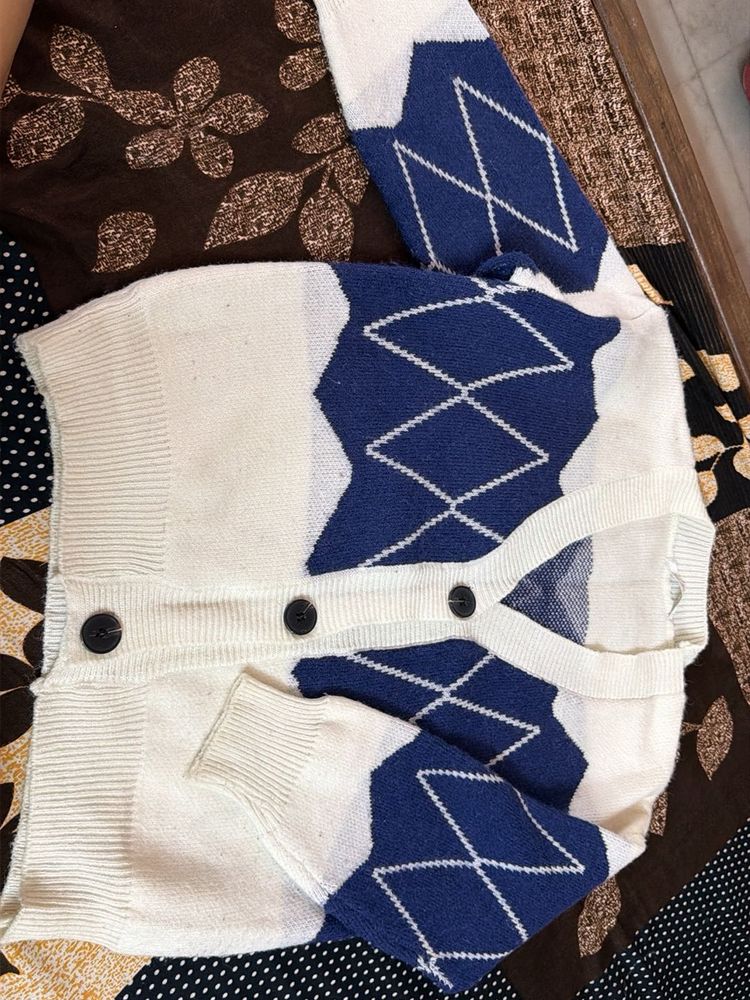 Argyle Cardigan Sweater