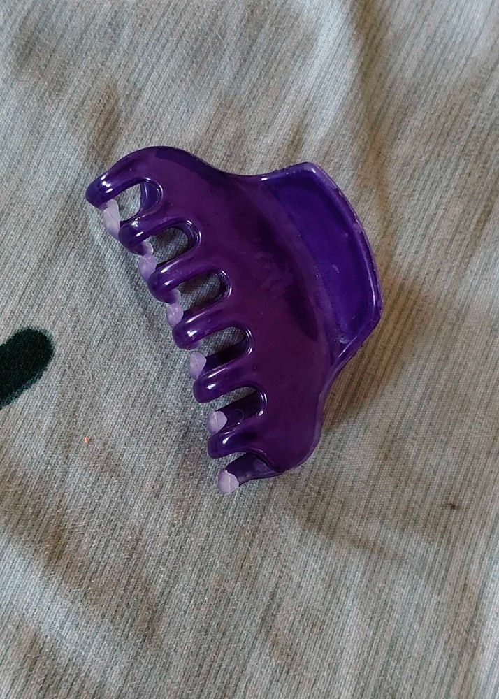 Purple Claw Clip
