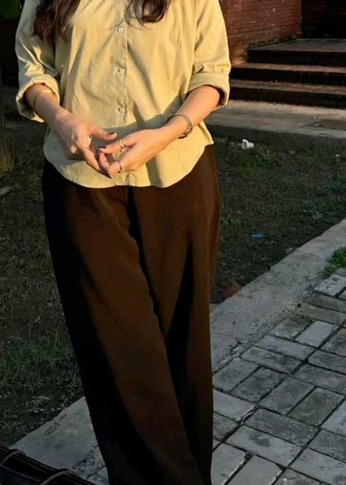 brown trouser pants