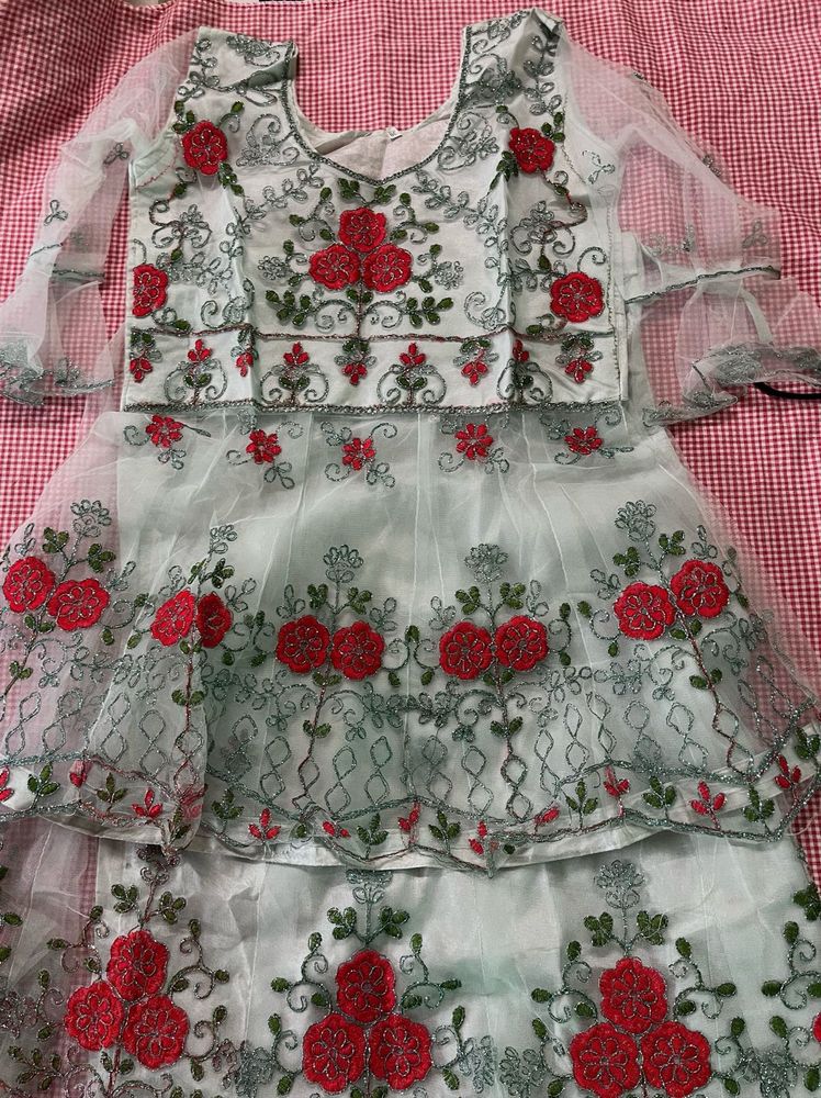 Embroidered Lehenga Choli Set