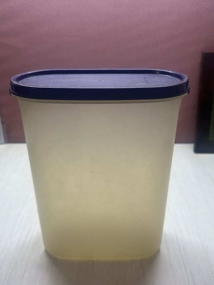 Tupperware Food Storage Container