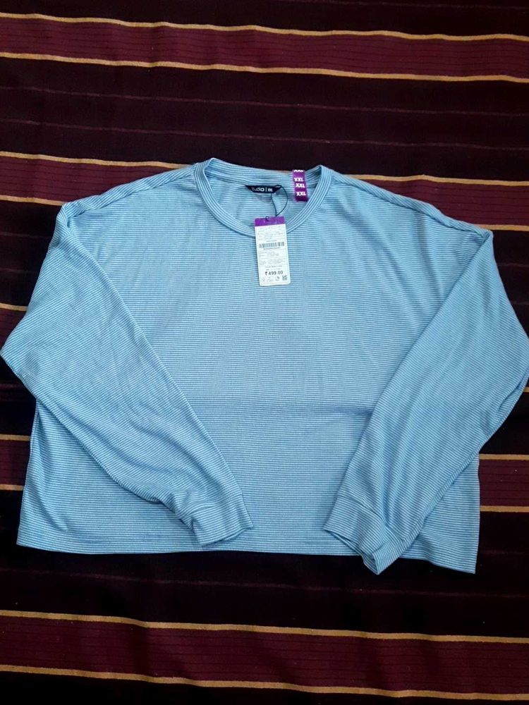 Light Blue Striped Long Sleeve Top from 'Zudio '.