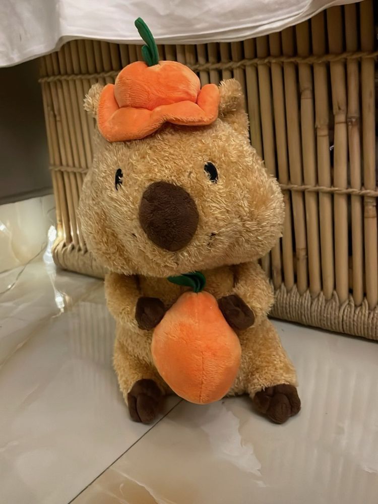 Cute Plush Wombat with Pumpkin