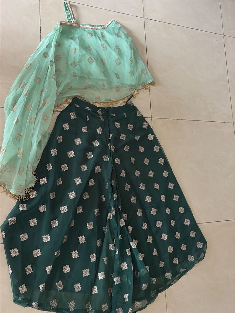 Beautiful palazzo Choli Set Indo western