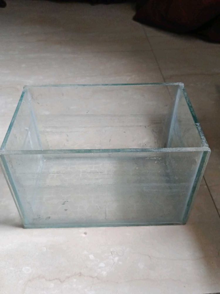 aquarium Glass Display Box