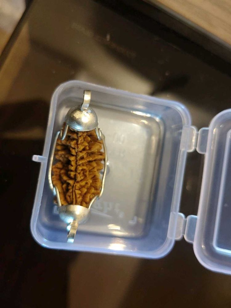 1 मुखी रुद्राक्ष