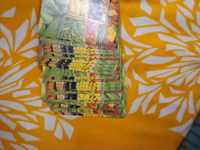 Deck of Rummy Cards