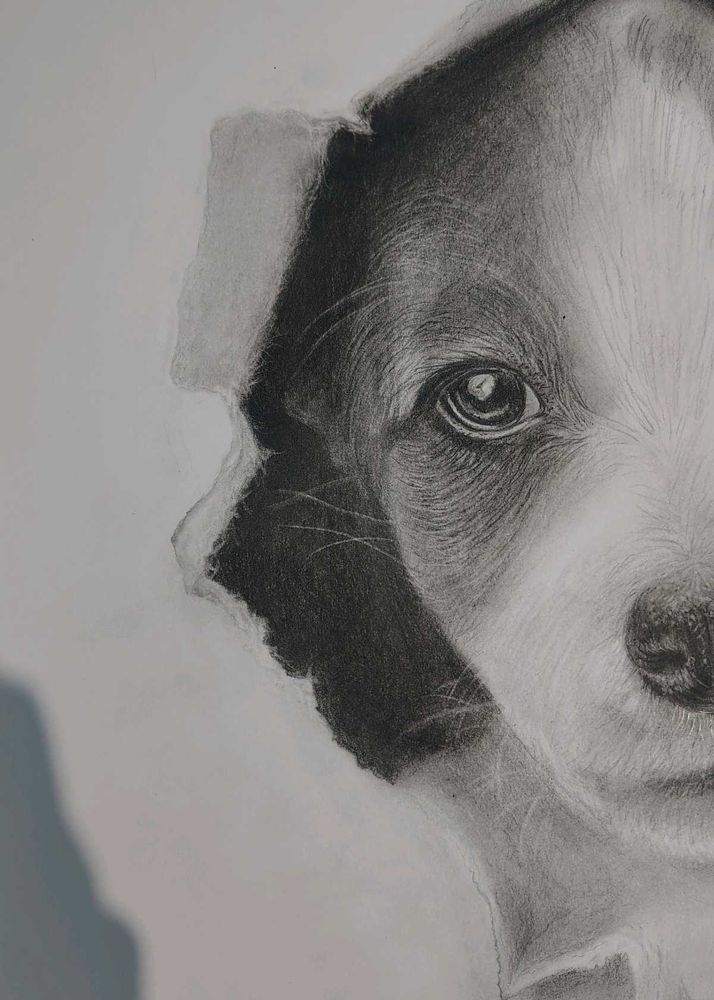 Cute Puppy Pencil Sketch