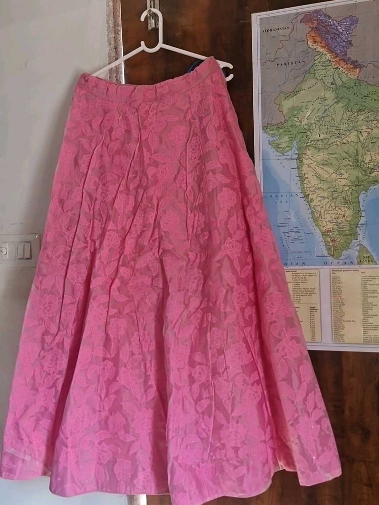 Beautiful Pink Embroidered Skirt