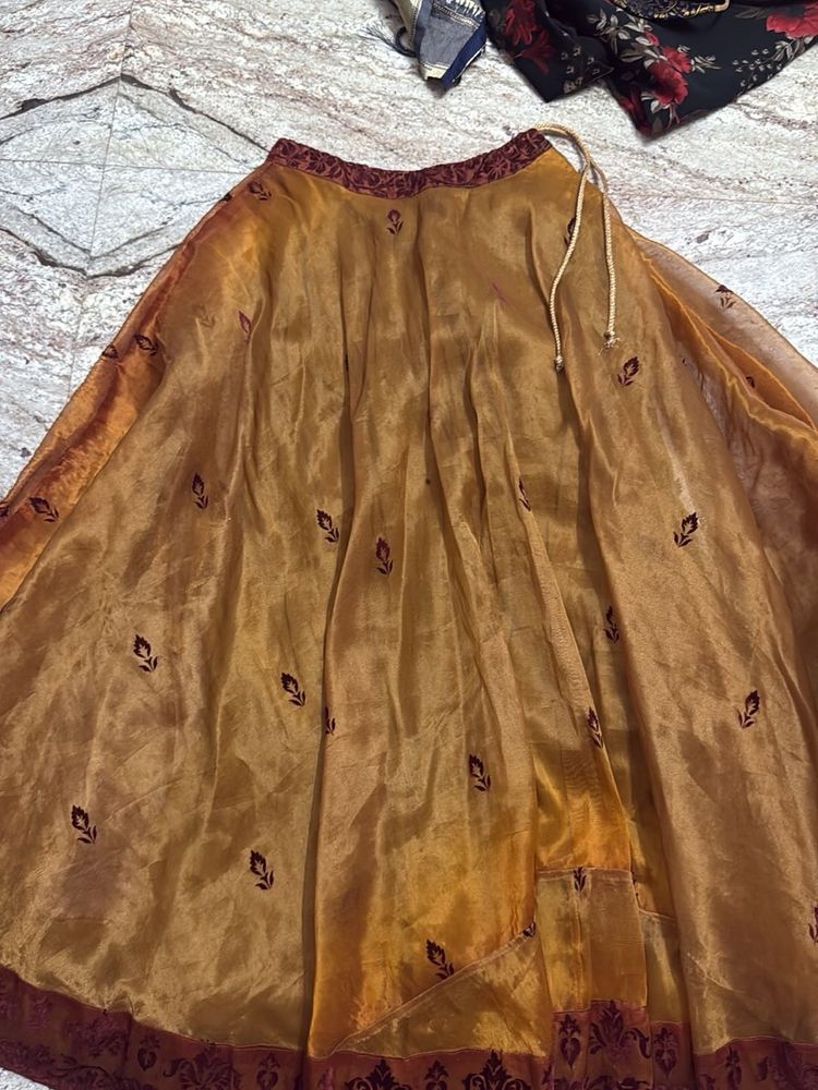 Golden Embroidered Ethnic Skirt