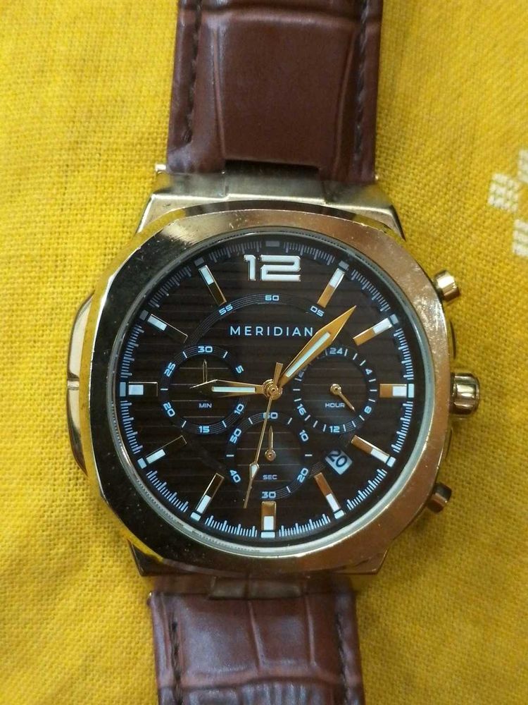Men's Meridian Gold Watch with Brown Strap