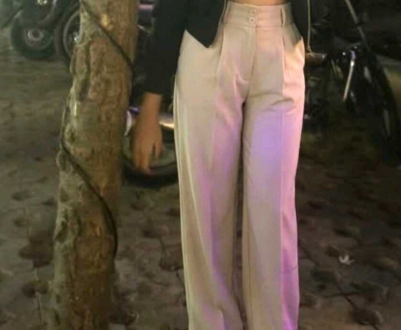 korean Stylish Wide-Leg Trousers