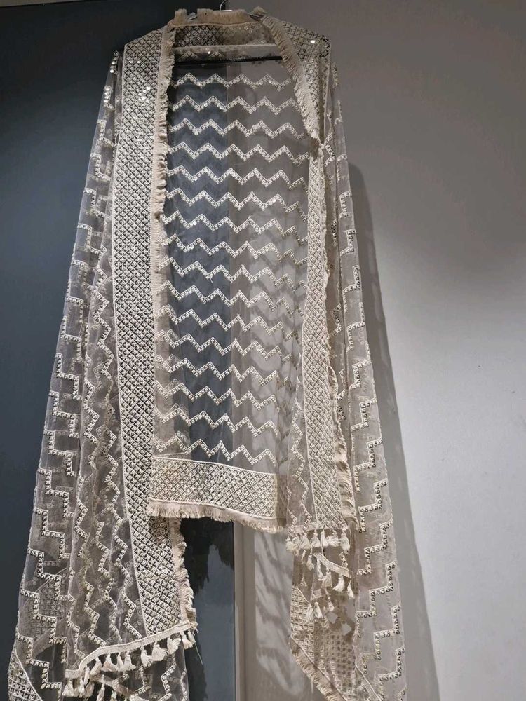 Embellished Net Dupatta