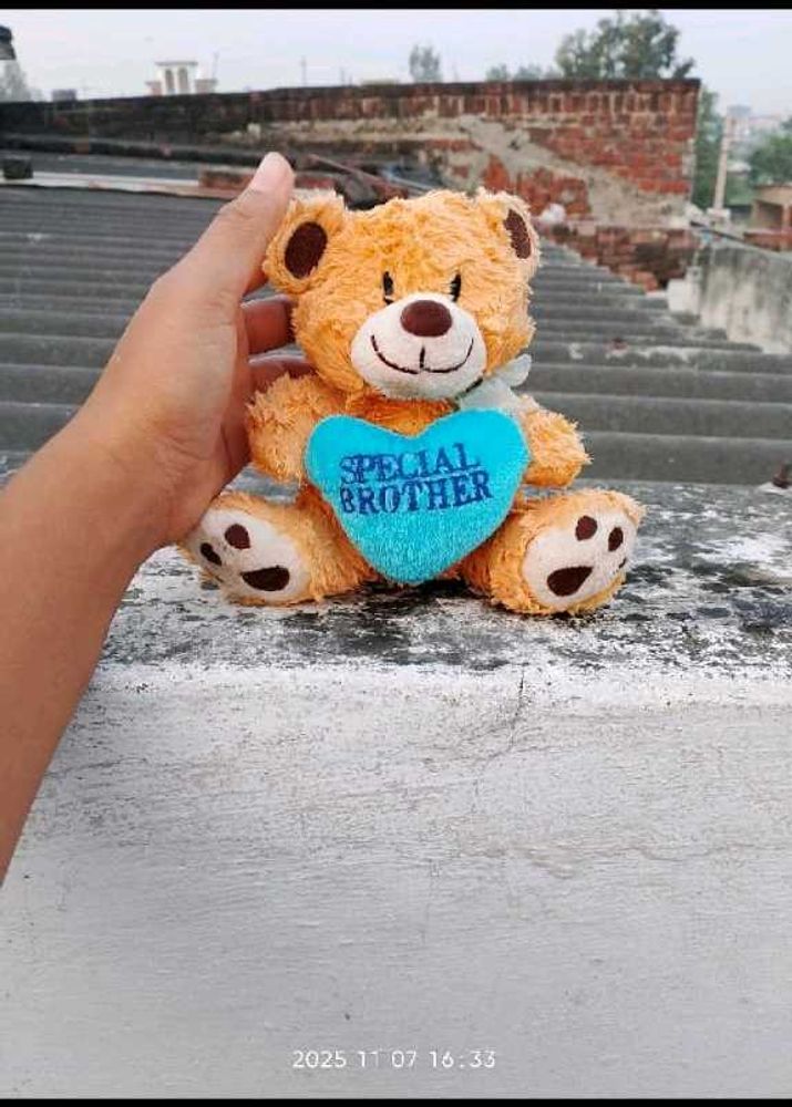 Cute Teddy Bear - Special Brother