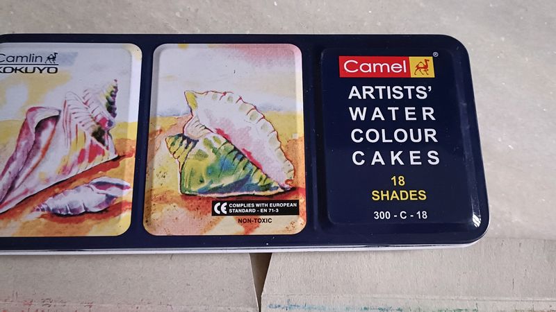 Camel Water Colour