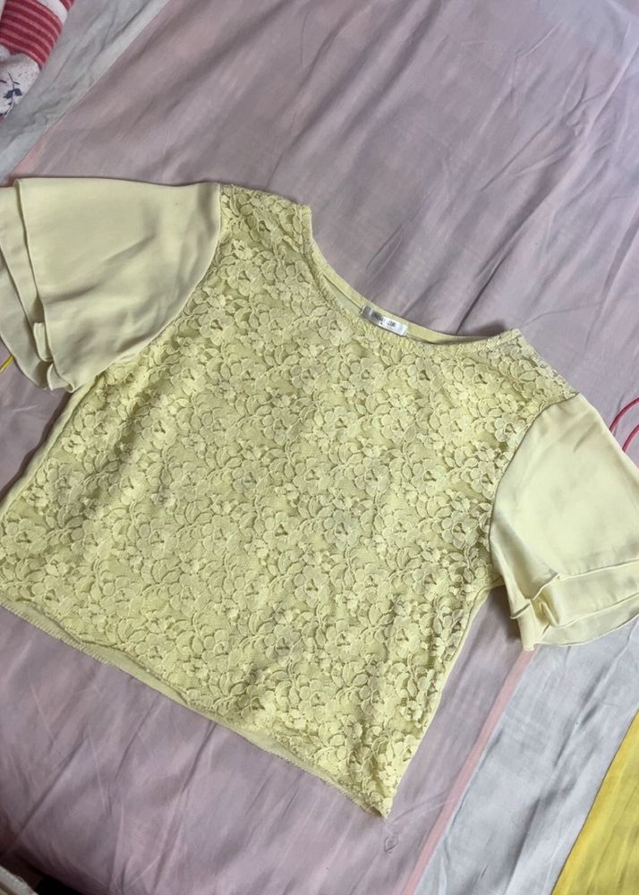 Elegant Lace Sleeve Top