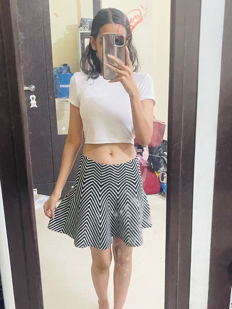 Chic Black &amp; White Skirt