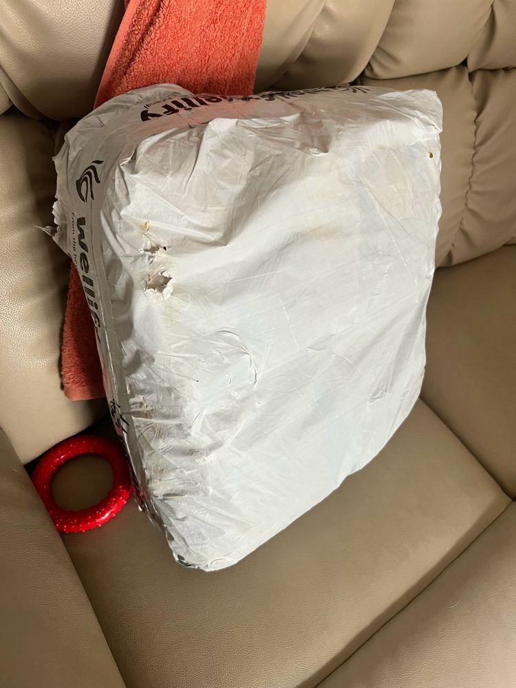 Adult Diaper