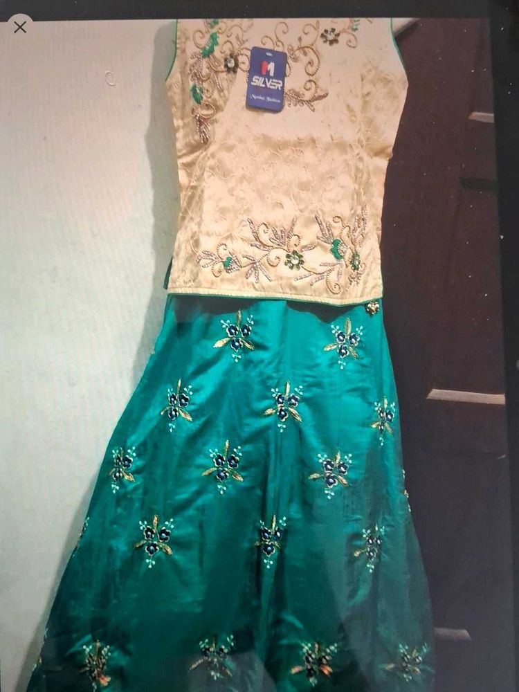 Embroidered Lehenga Choli Set