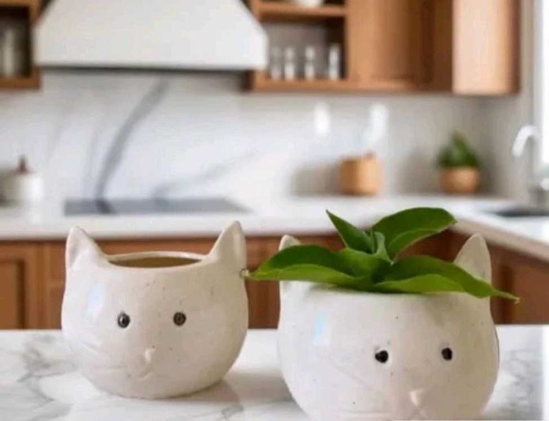 Cute Cat Planter