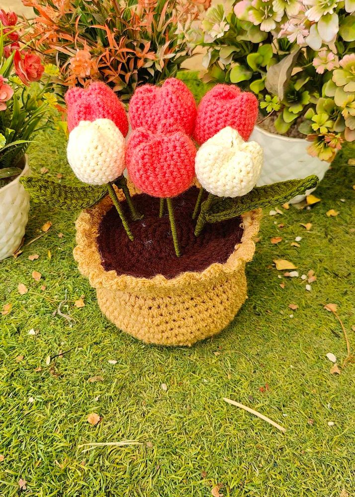 Tulip Pot