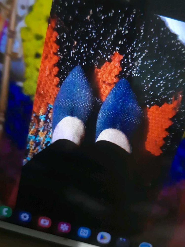 blue bellies