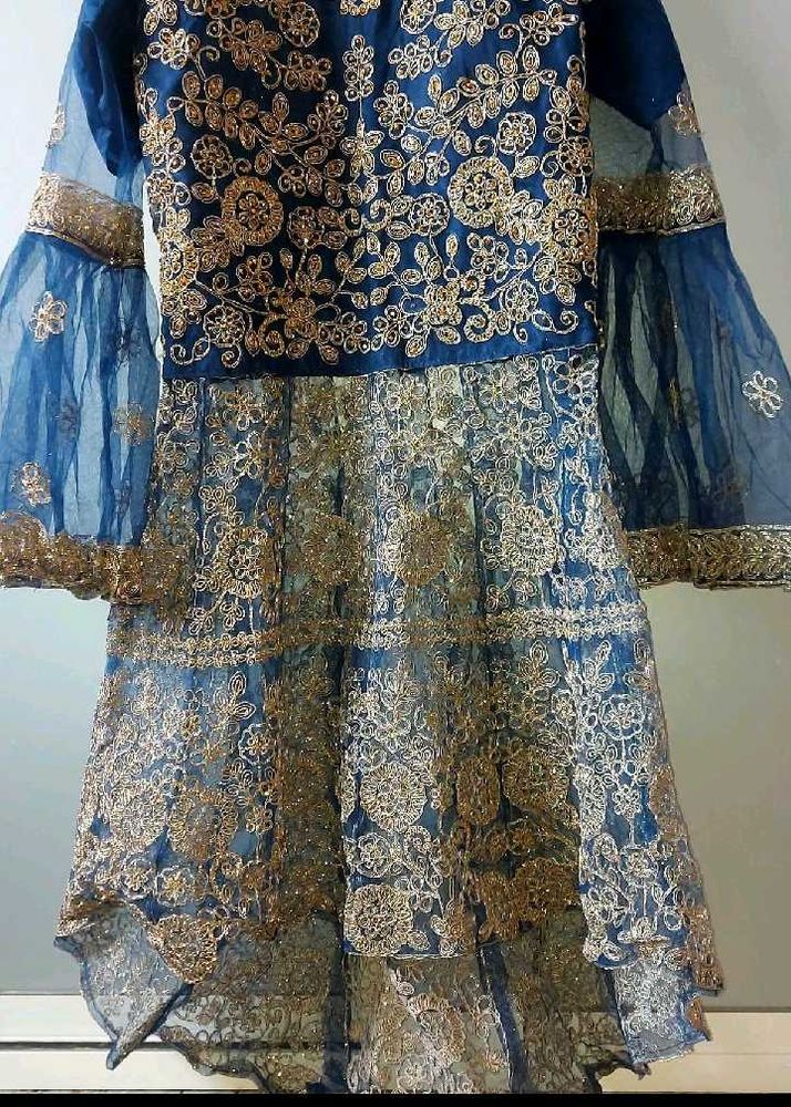 Royal Blue &amp; Gold Embroidered Lehenga Choli
