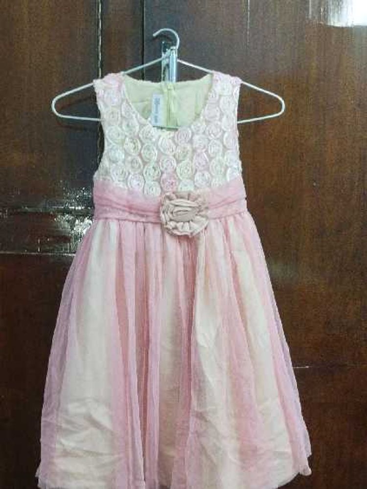 Charming Pink Floral Party Dress (US brand)