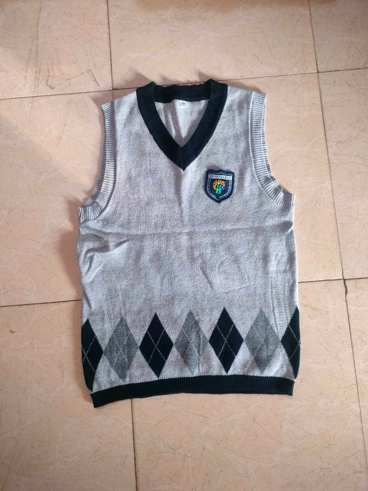 Argyle Sweater Vest 🦺🧙🧋