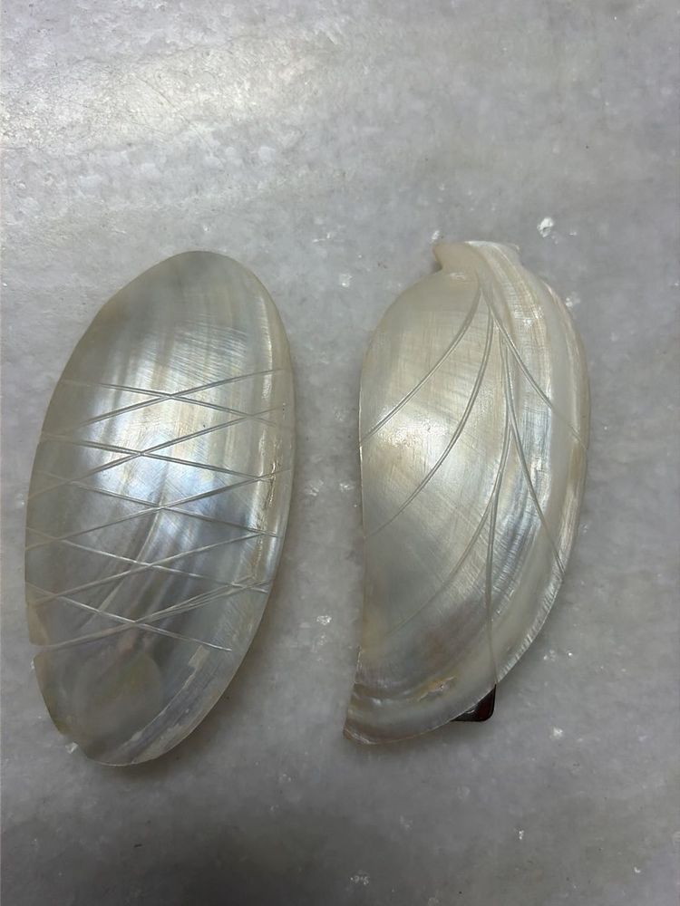 Elegant Mother of Pearl hair clips (set o