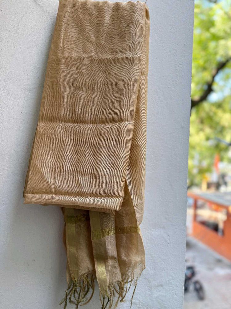 Elegant Ethnic Dupatta