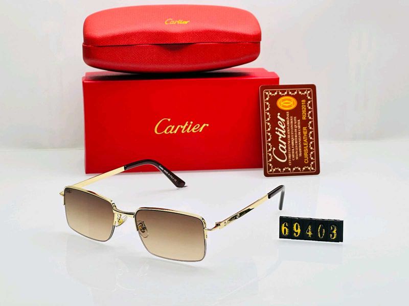 Cartier Sunglasses with Case