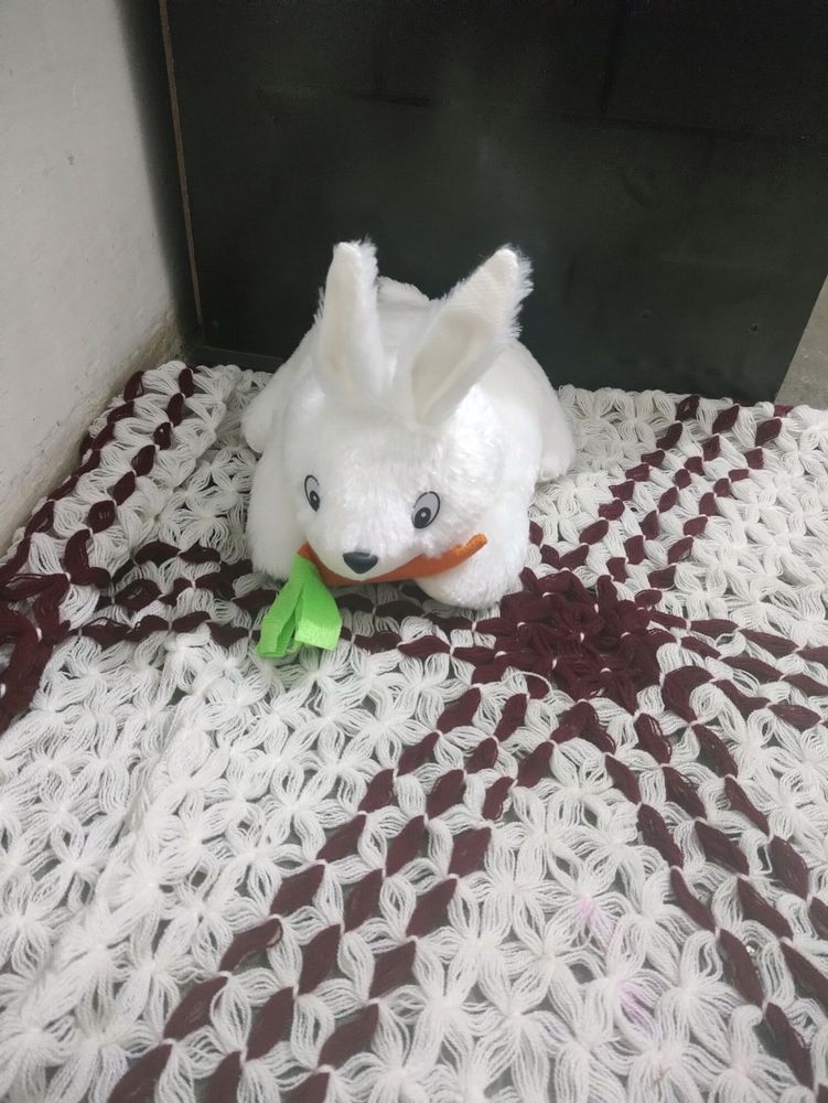 Carrot Eating Rabbit Very Soft Teddy For Child