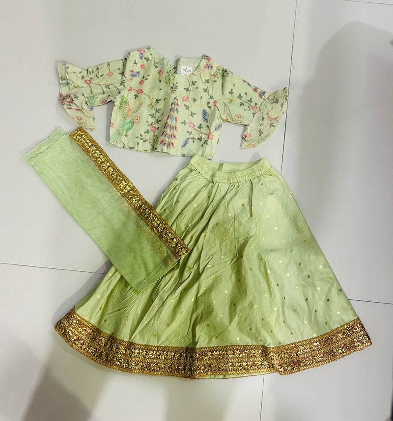 Beautiful Ethnic Lehenga Choli Set