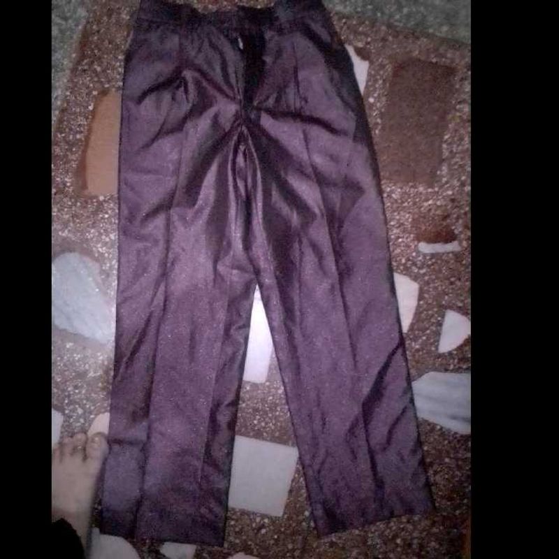 Elegant Sparkly Purple Pants