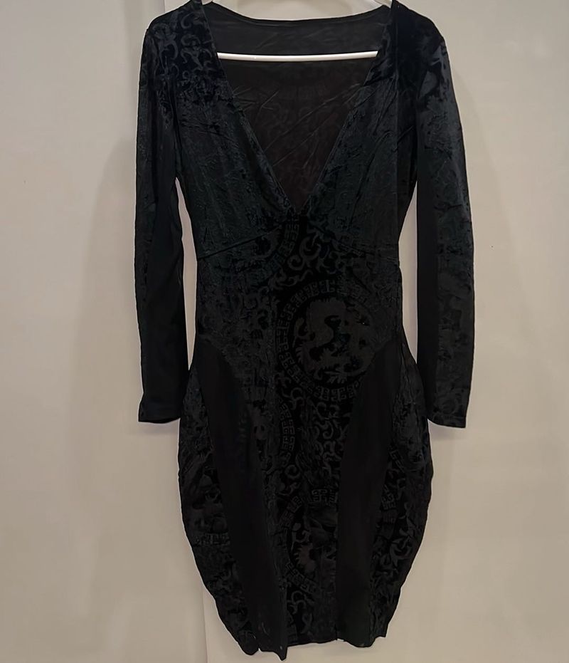 Velvet Dragon Print Dress