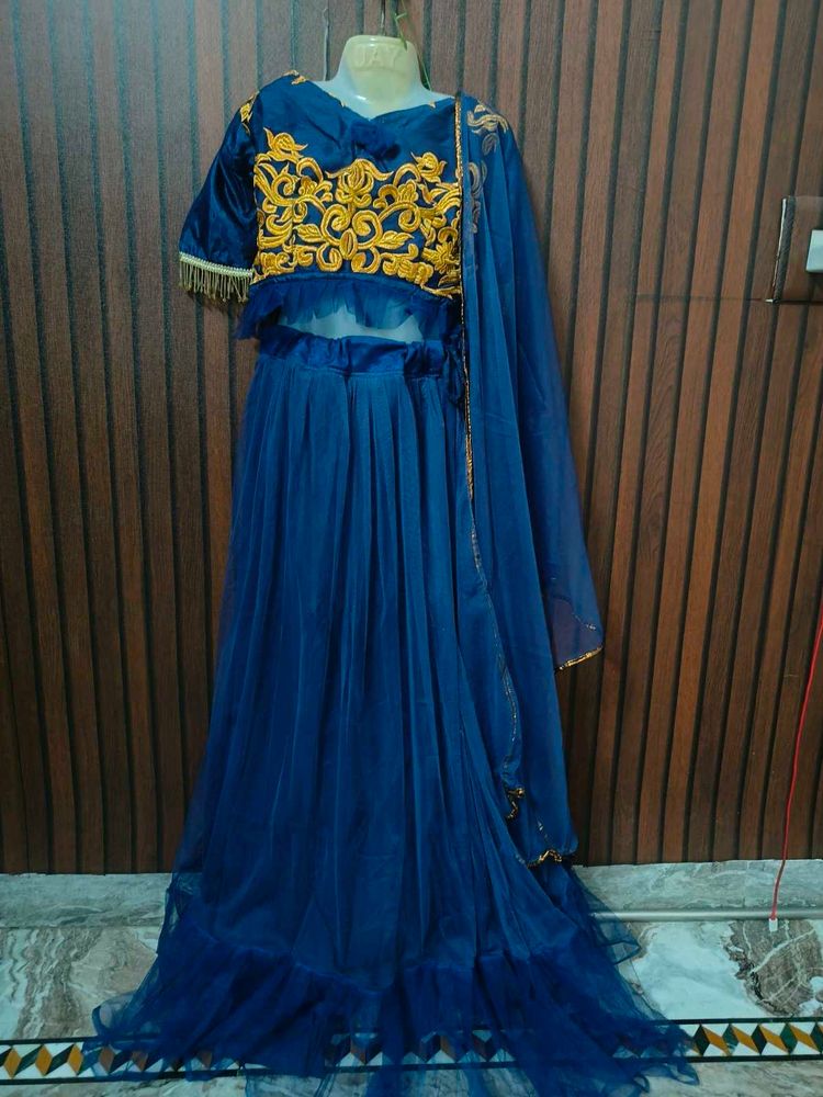 Beautiful Royal Blue Lehenga Choli
