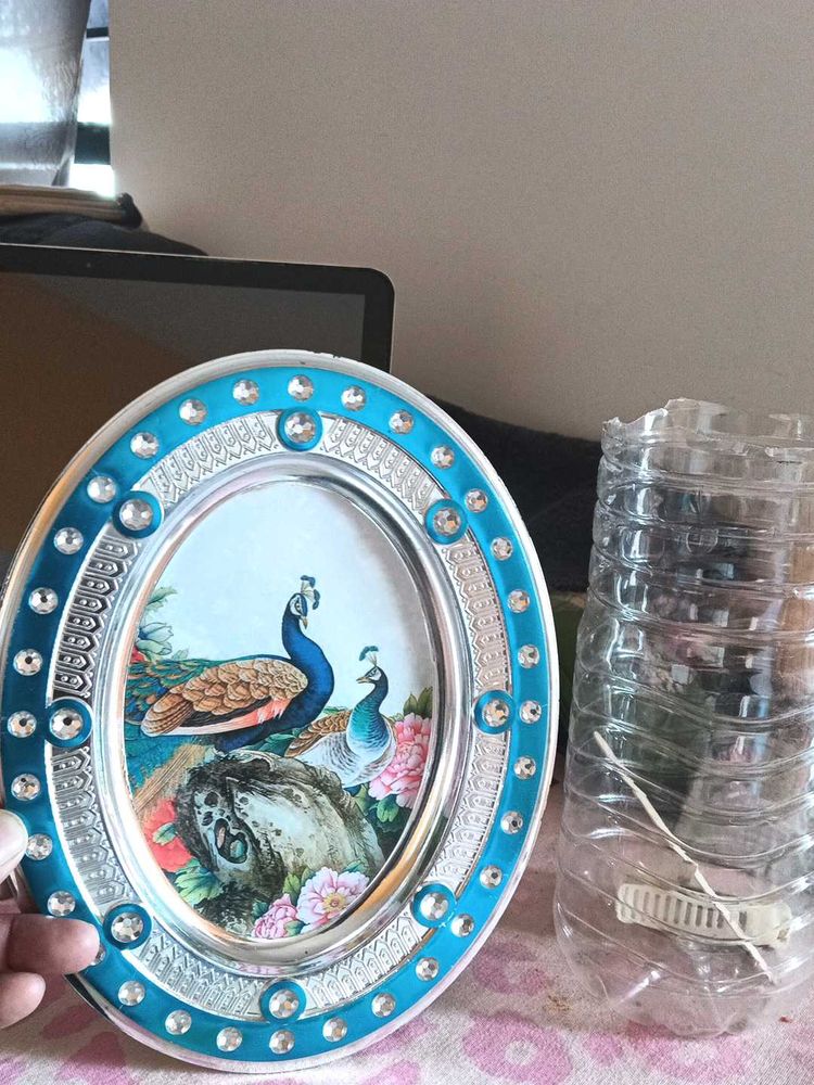 Peacock Picture plate tray