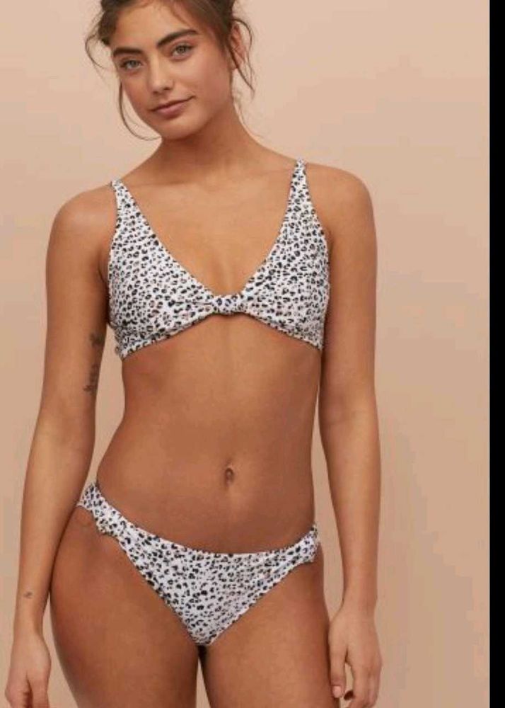 H&amp;M Animal Print Bikini Set