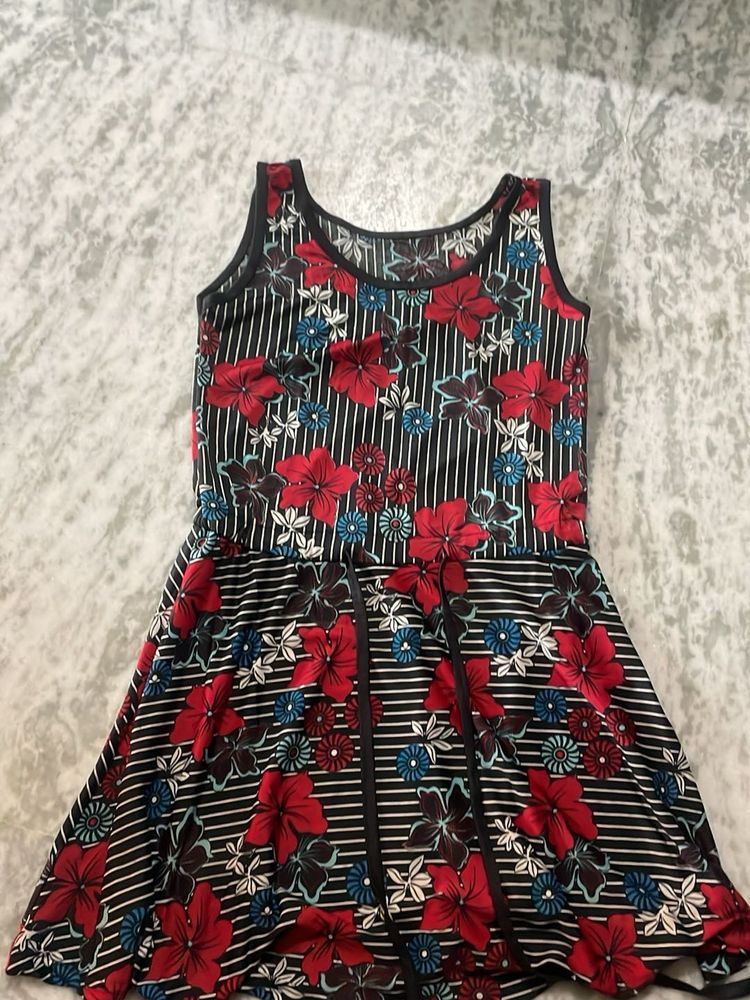 Floral Print Skater Dress
