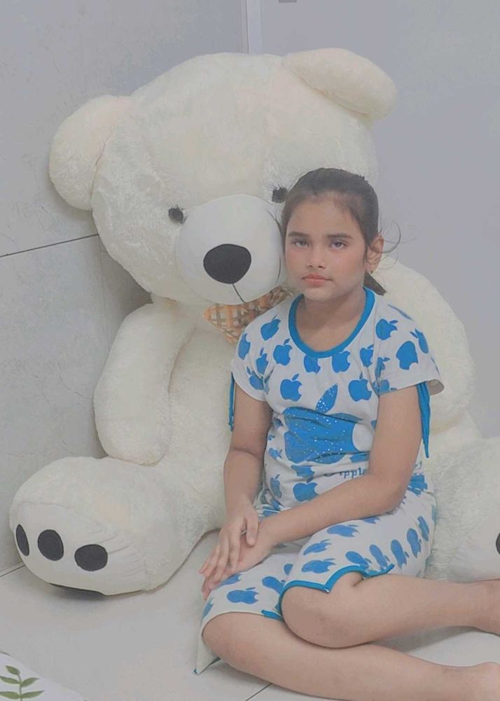 new taddy bear