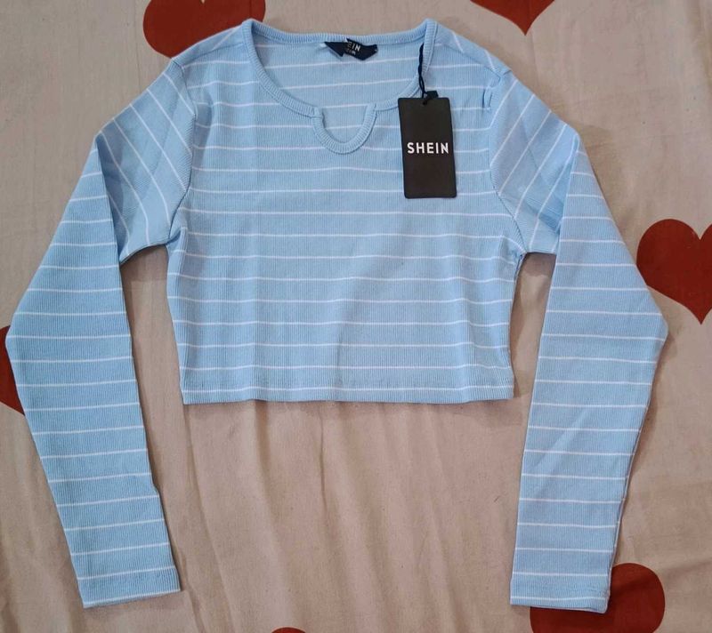 Light Blue Striped Crop Top